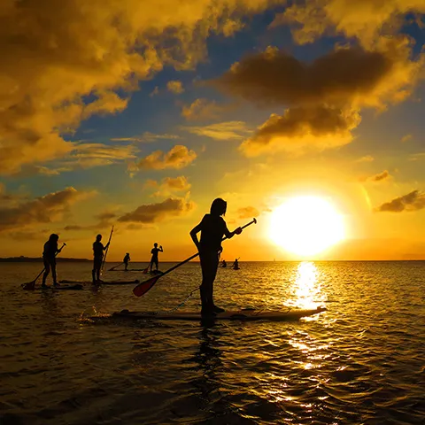 サンセットサップ